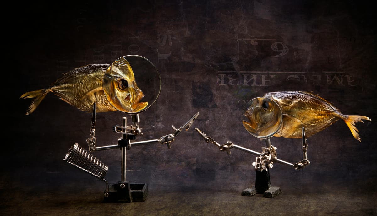 Gentoo Linux 2025 Retrospective: Data-Driven Update for Developers