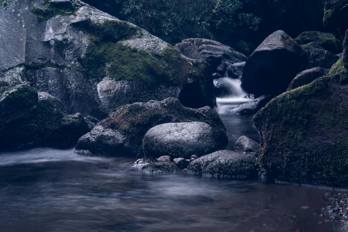 Discovery: Himalayan Winter Snow Decline Signals Water Impacts