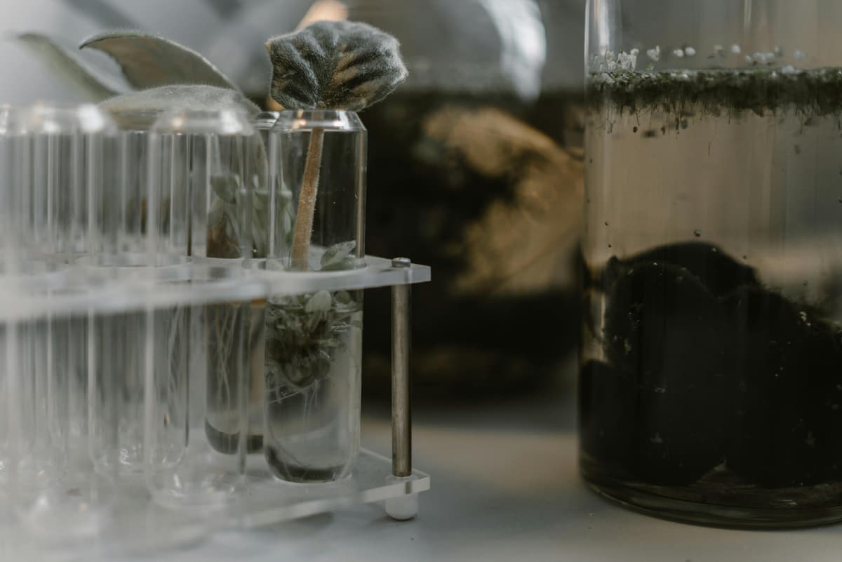 Epigenetics: Paternal Sperm RNA Linked to Offspring Traits